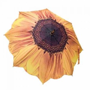 sunflower_bloom-500x500