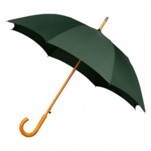 warwick_windproof_walking_umbrella_green-500x500